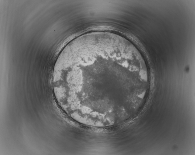 X0000115220945200912091217