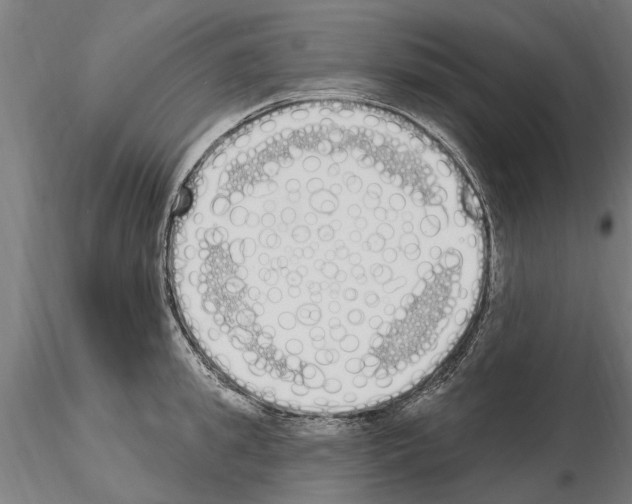 X0000115220949200912091217