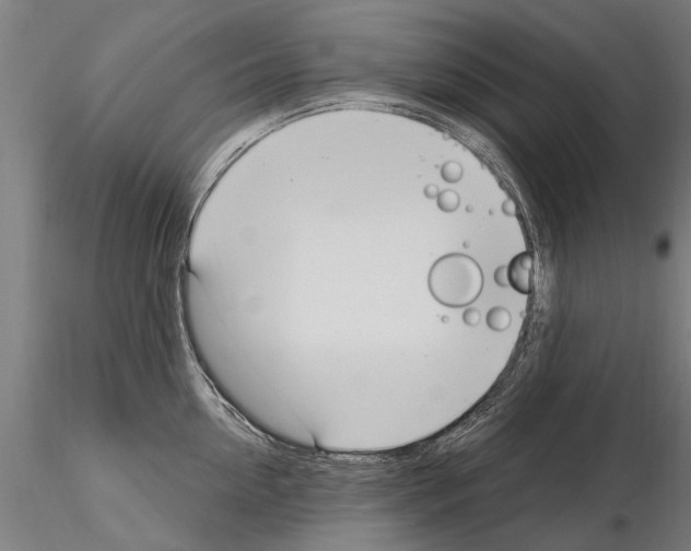 X0000115220954200912091218