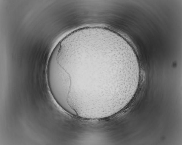X0000115220959200912091218