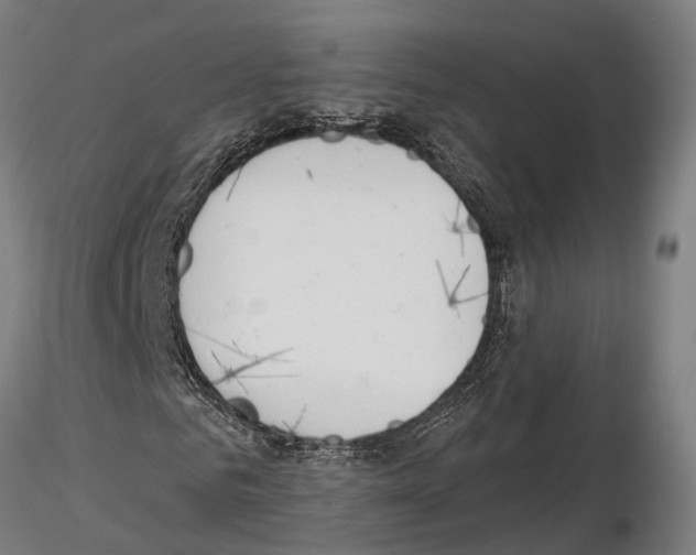 X0000115220961200912091217