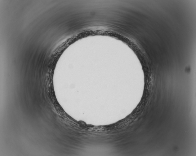X0000115220967200912091217