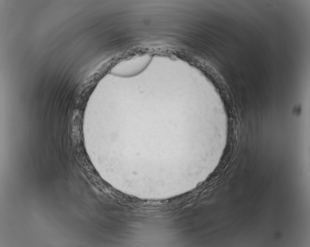 X0000115220968200912091217