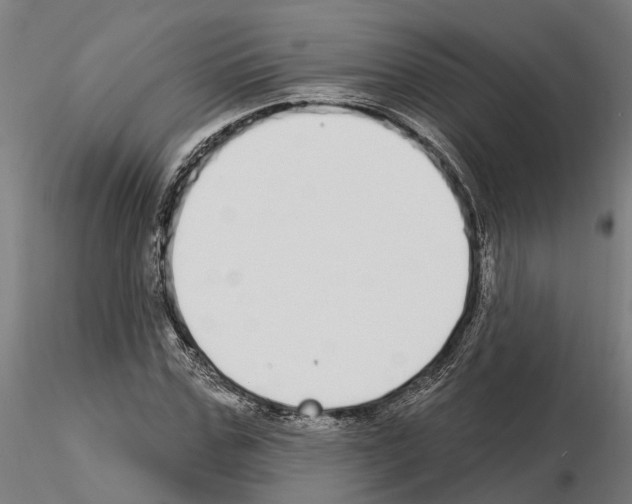 X0000115220971200912091217