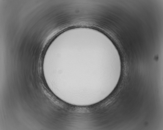 X0000115220982200912091216