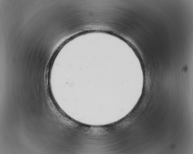 X0000115220983200912091216