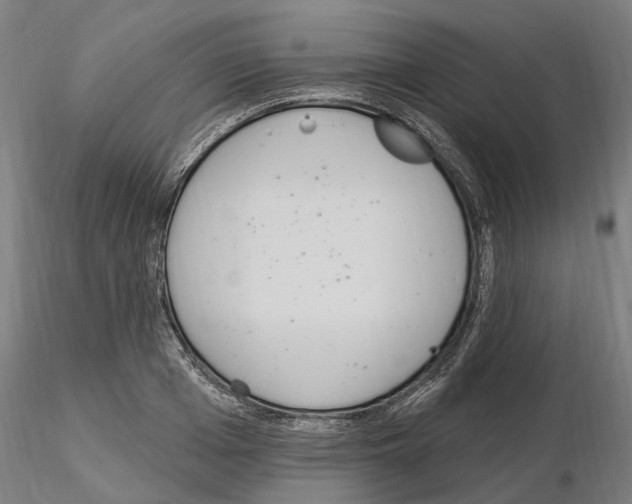 X0000115220985200912091216