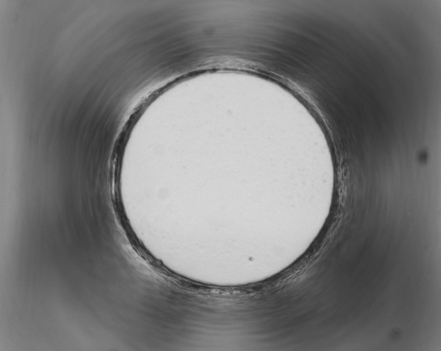 X0000115220987200912091216