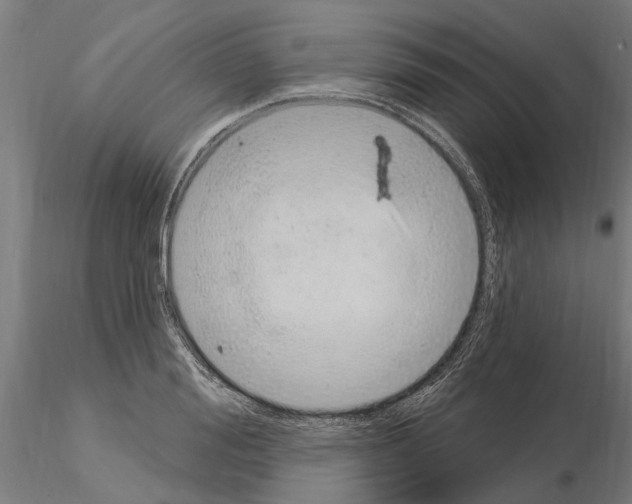 X0000115220988200912091216