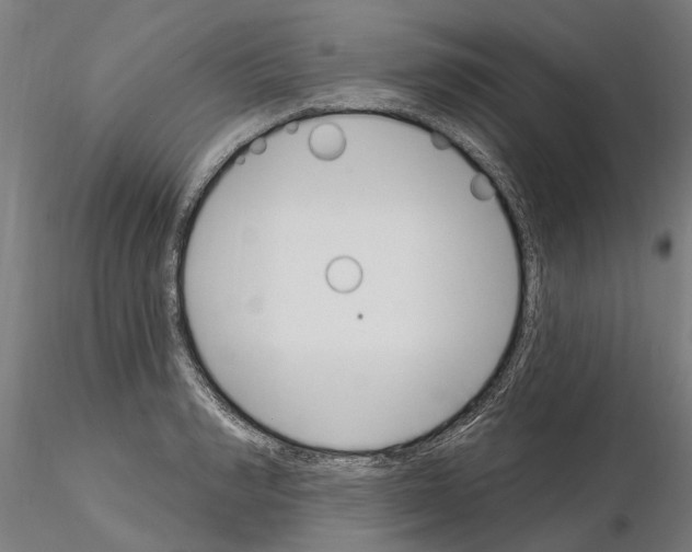 X0000115220990200912091216