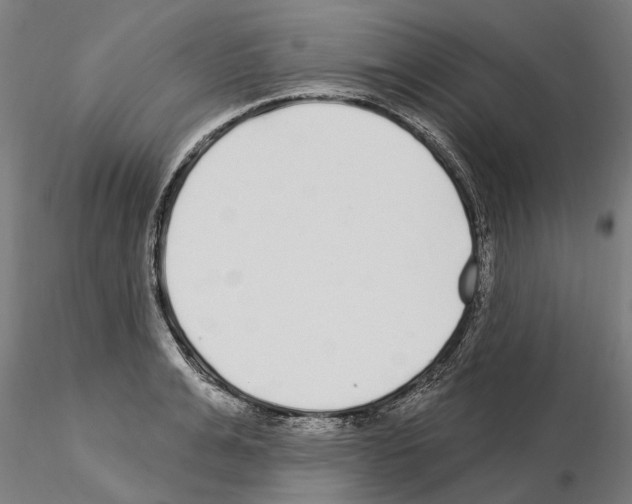 X0000115220991200912091216