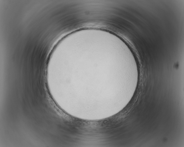 X0000115220992200912091216