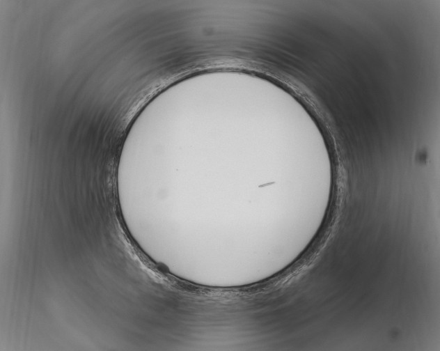 X0000115220993200912091216