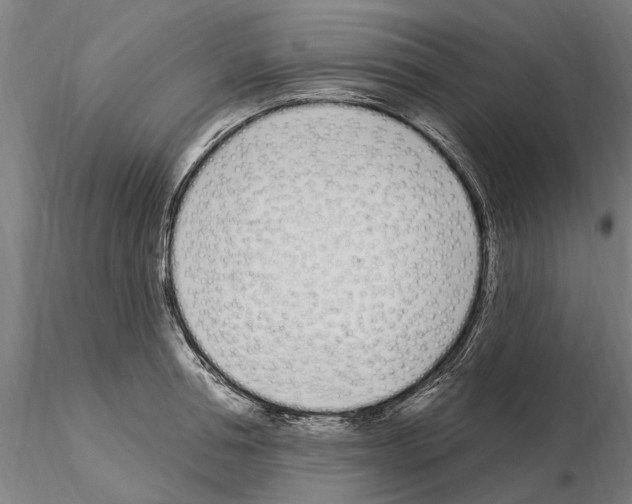 X0000115220994200912091216