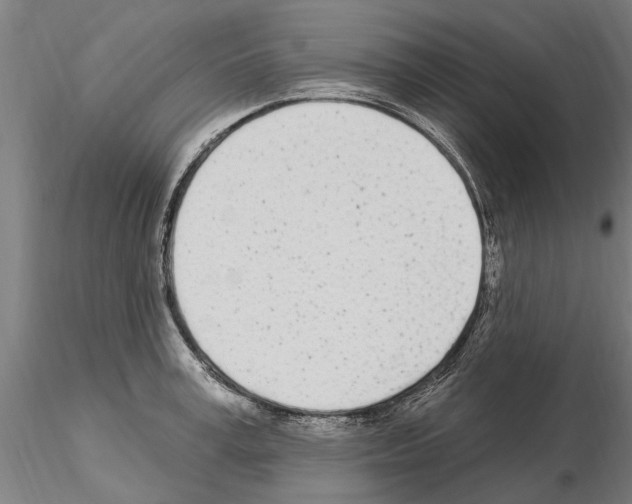 X0000115220995200912091216
