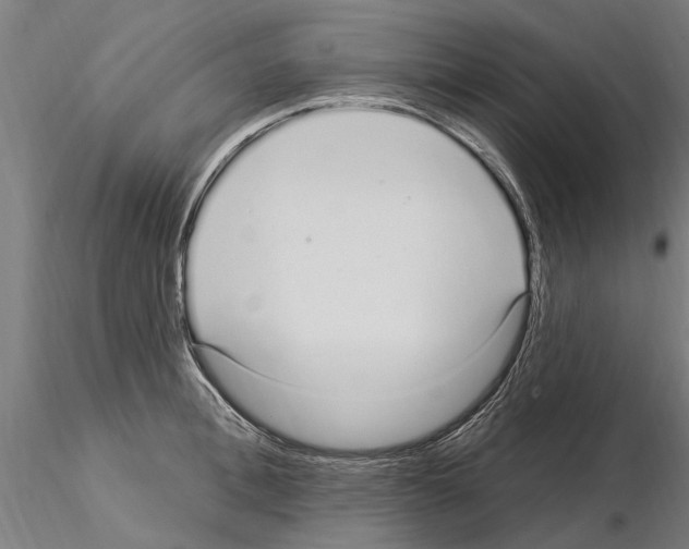 X0000115220996200912091216