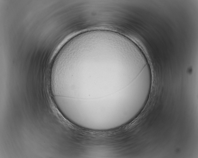 X0000115221000200912091216