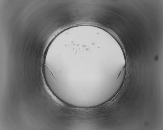 X0000115221005200912091216
