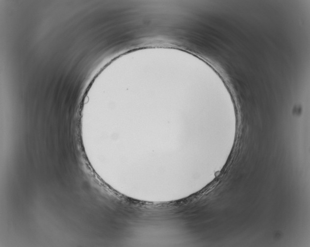 X0000115221008200912091216