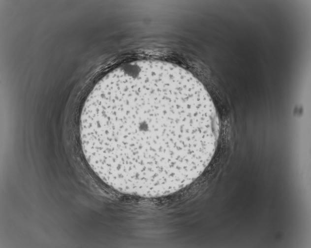 X0000115221009200912091215