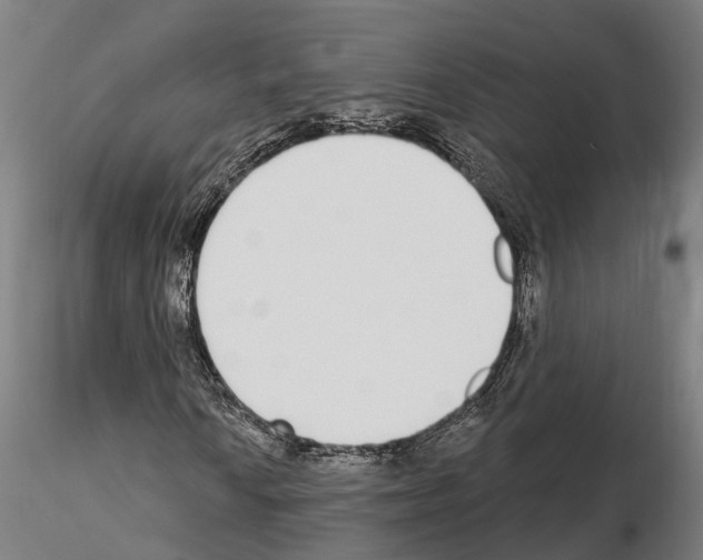 X0000115221010200912091215