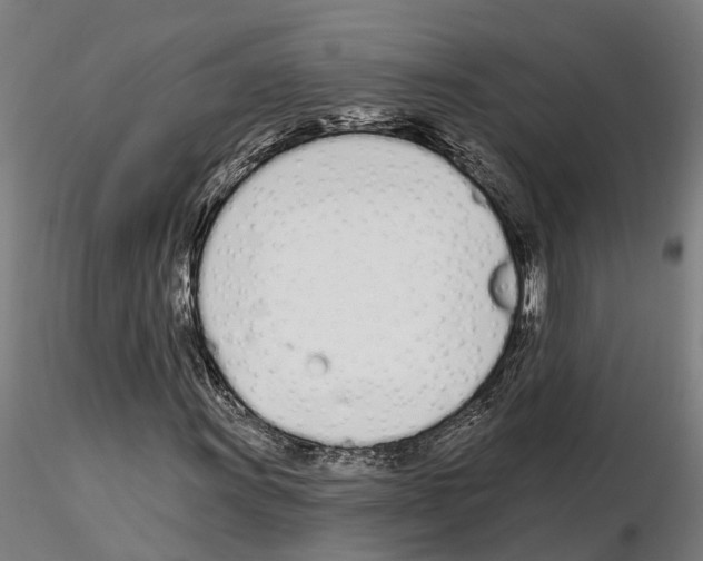 X0000115221011200912091215