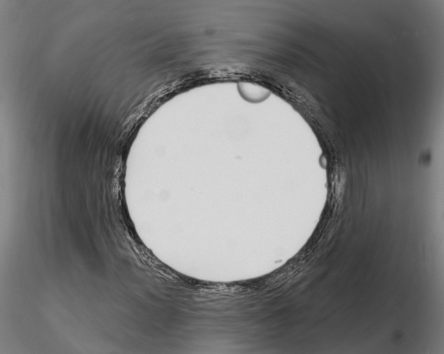 X0000115221012200912091215