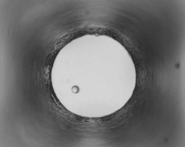 X0000115221013200912091216