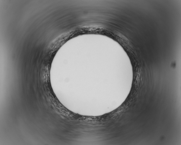 X0000115221014200912091216