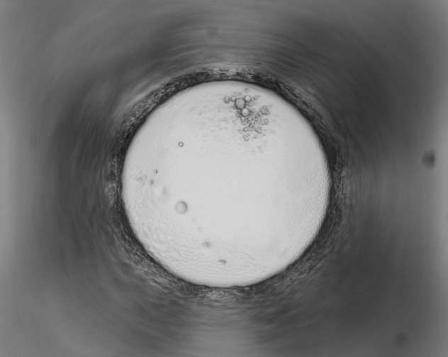 X0000115221015200912091216