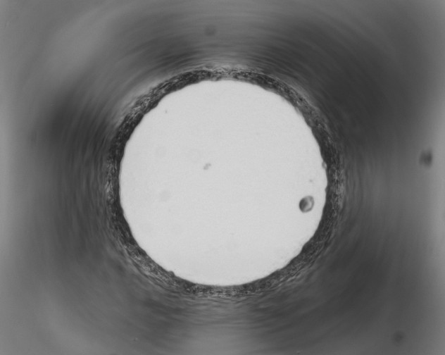 X0000115221016200912091216