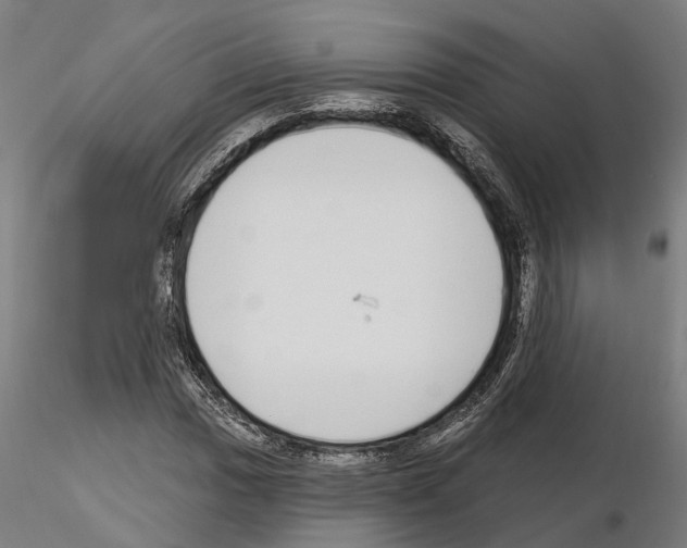 X0000115221017200912091216