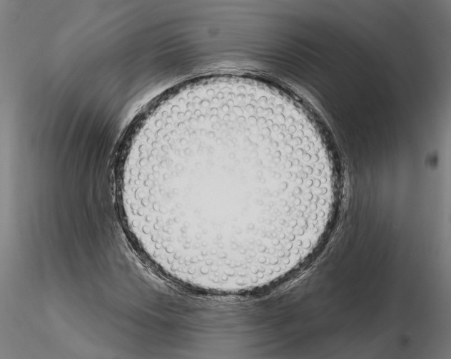 X0000115221018200912091216