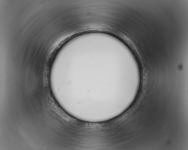 X0000115221019200912091216
