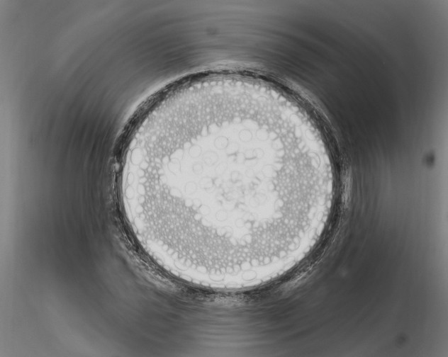 X0000115221021200912091216