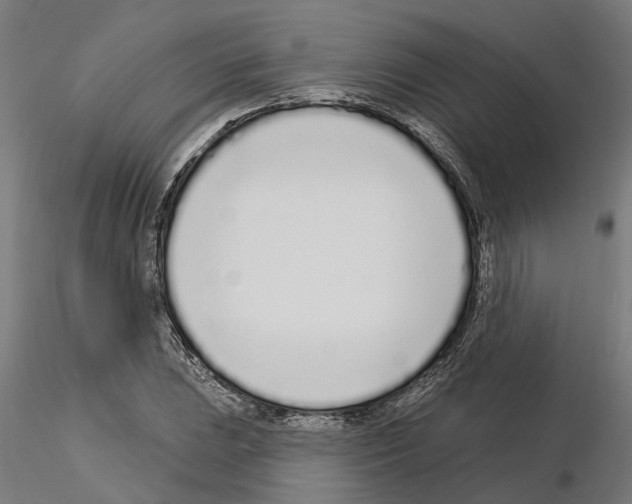 X0000115221023200912091216