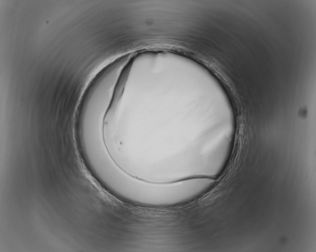 X0000115221024200912091216