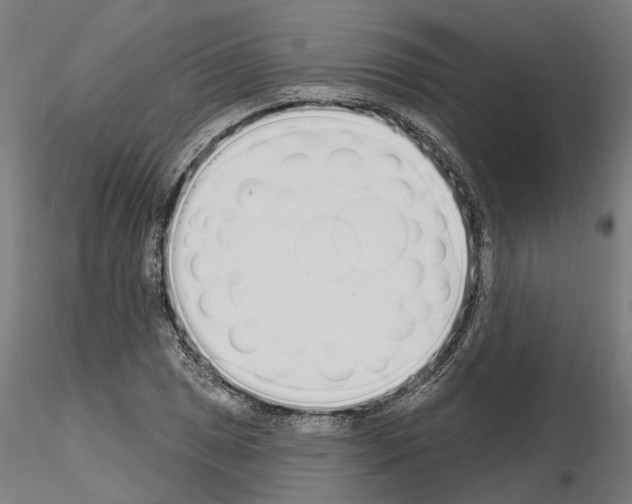 X0000115221025200912091216