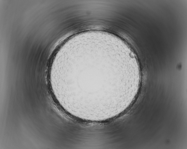 X0000115221026200912091216