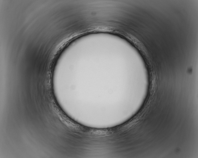 X0000115221027200912091216