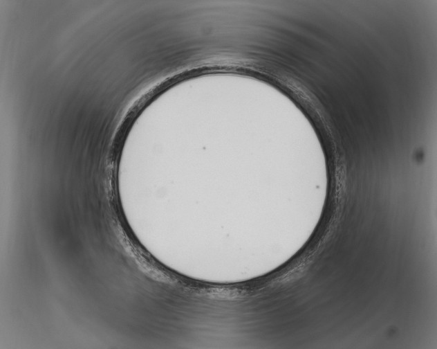 X0000115221029200912091216