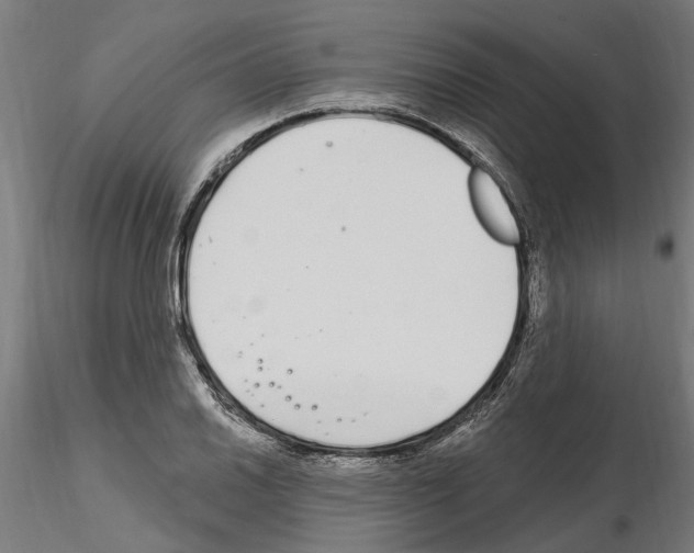 X0000115221030200912091216