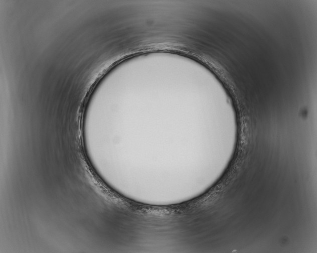 X0000115221031200912091216