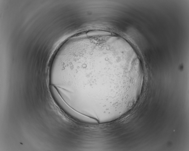 X0000115221035200912091216