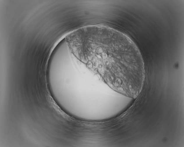 X0000115221036200912091216