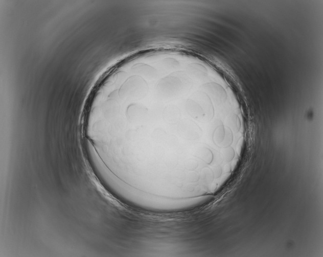 X0000115221037200912091216