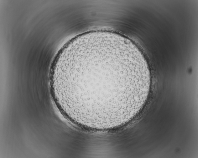 X0000115221038200912091216