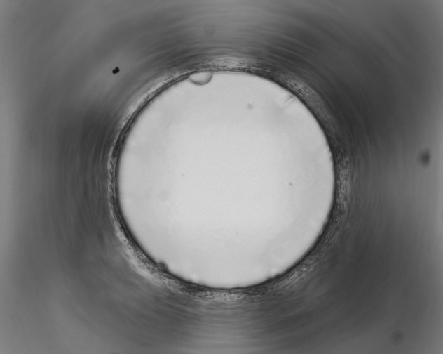 X0000115221039200912091216