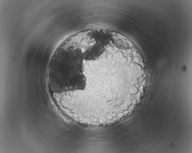 X0000115221040200912091216
