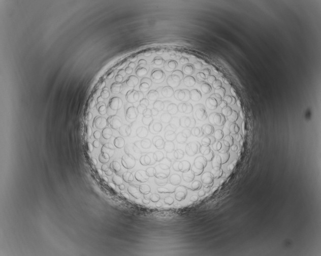 X0000115221044200912091216
